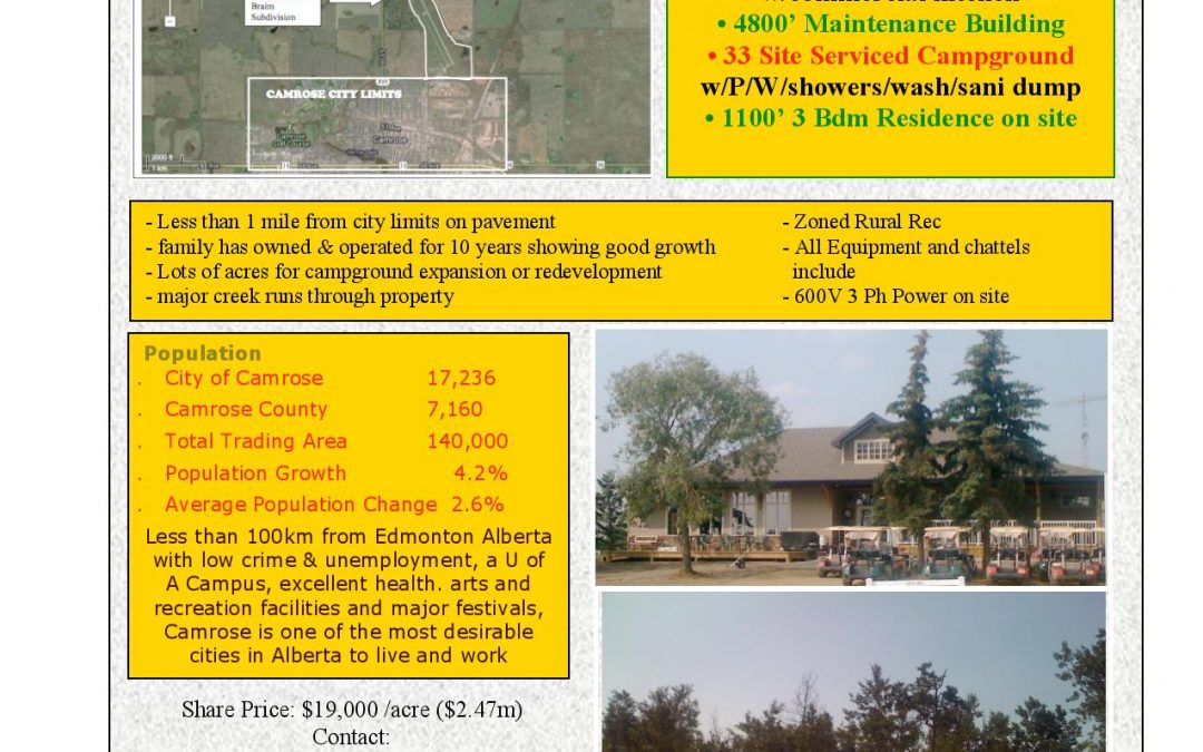sale flyer